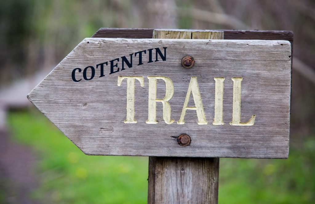 Closeup Of Wooden Sign With The Trail Word Written On It 1024x663