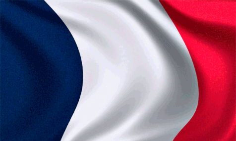 france flag 6